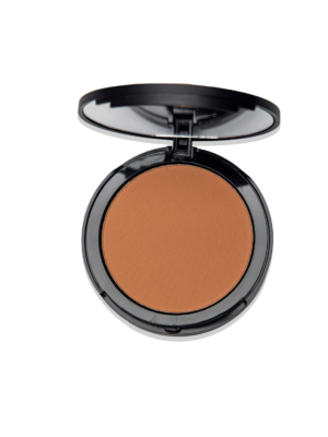 CANVAS MULTITASKER PRESSED POWDER 04